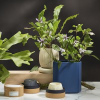 Свеча ароматическая green tea & pear blossom из коллекции edge, бежевый, 30 ч