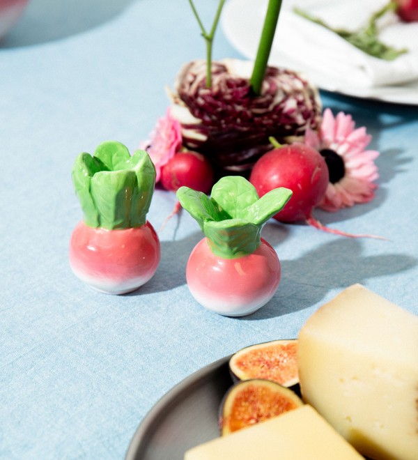 Набор из солонки и перечницы radish