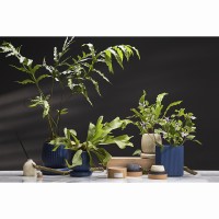 Диффузор ароматический italian cypress из коллекции edge, 200 мл, бежевый
