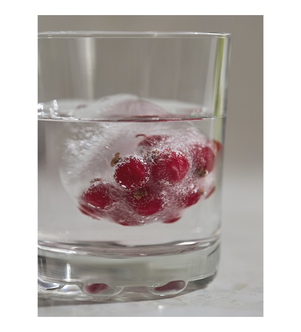 Форма для льда freeze