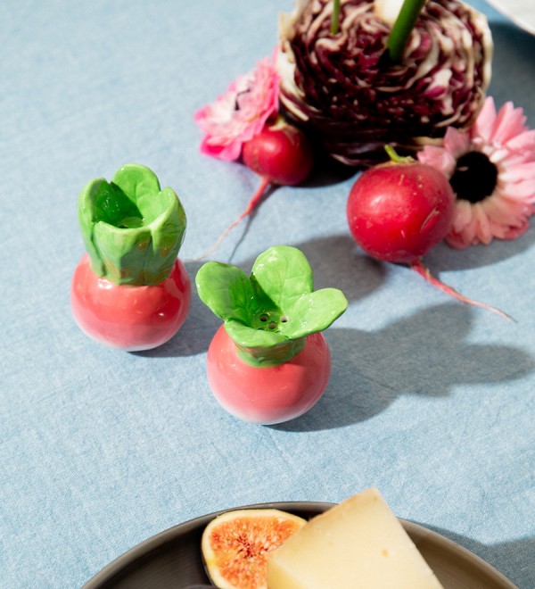 Набор из солонки и перечницы radish