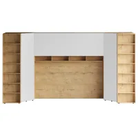 Композиция Modus 65