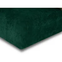 Завершение Trevi левое