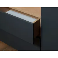 Композиция Modus g12