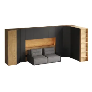 Композиция Modus 40