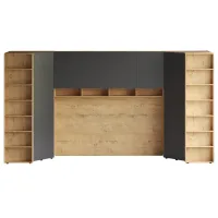 Композиция Modus 65