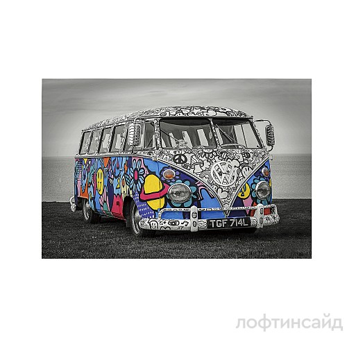 Фотография Hippie 120x80 099212